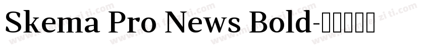 Skema Pro News Bold字体转换